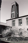 Kleine binnentuin met Magnolia